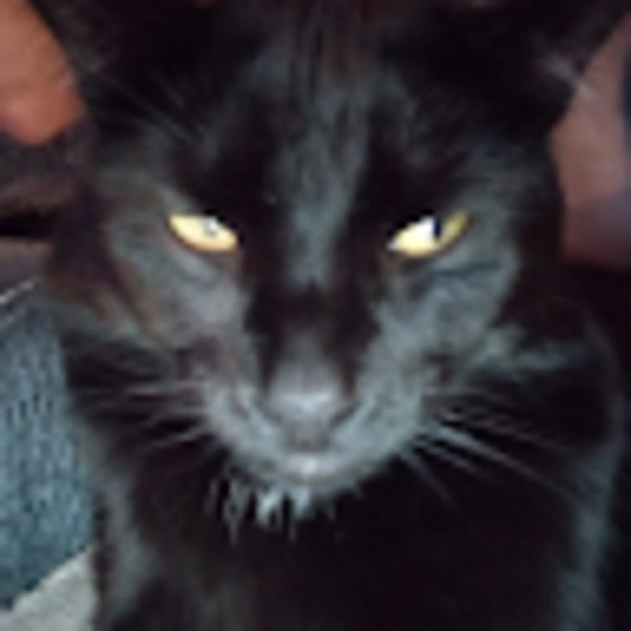 Meet your Posher, Mélanie - Picture 1 of 1